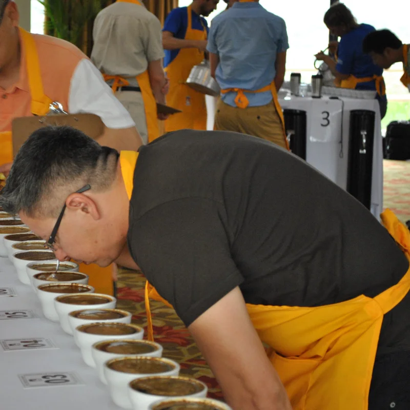 Cup of Excellence cupping table in Costa Rica
