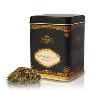 Egyptian mint
